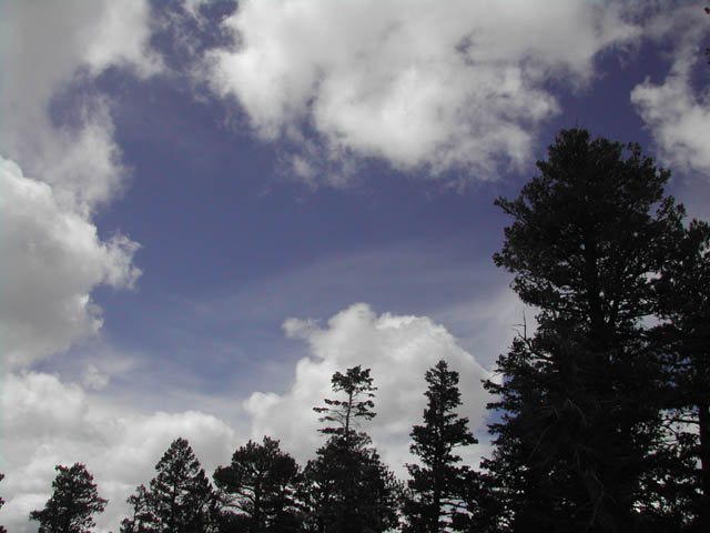 2002-03-24-RoadTripDay13