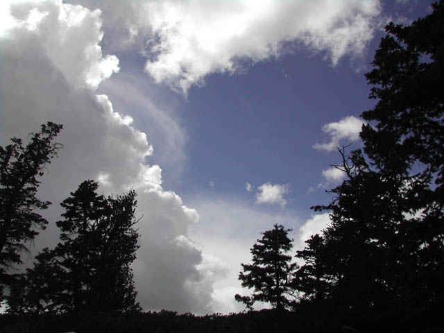 2002-03-24-RoadTripDay13