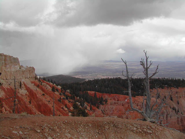 2002-03-24-RoadTripDay13
