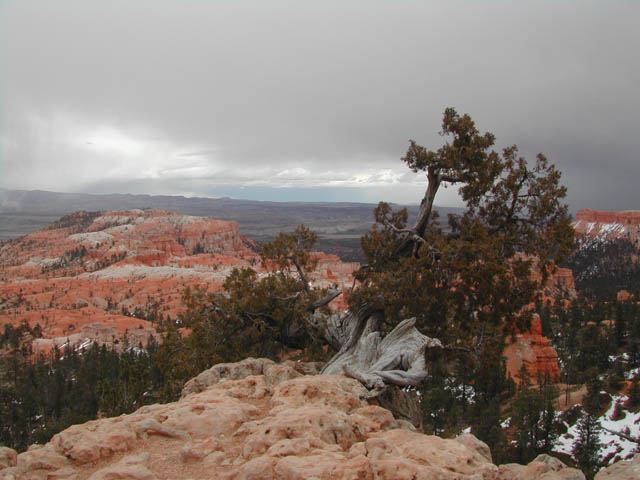 2002-03-24-RoadTripDay13