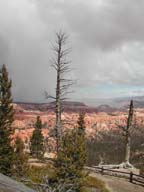 2002-03-24-RoadTripDay13
