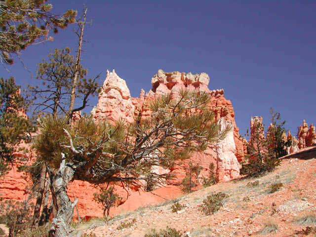 2002-03-25-RoadTripDay14