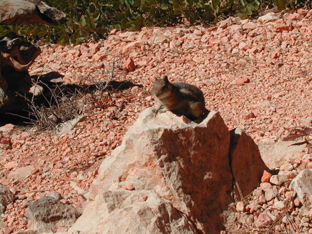 2002-03-25-RoadTripDay14