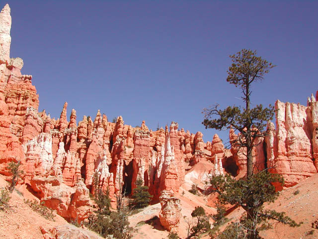 2002-03-25-RoadTripDay14