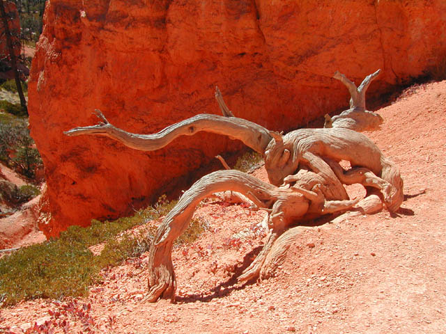 2002-03-25-RoadTripDay14