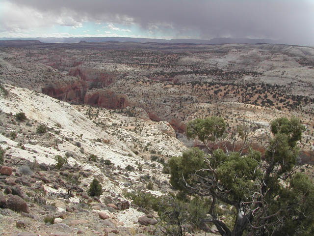 2002-03-25-RoadTripDay14