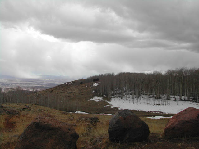 2002-03-25-RoadTripDay14