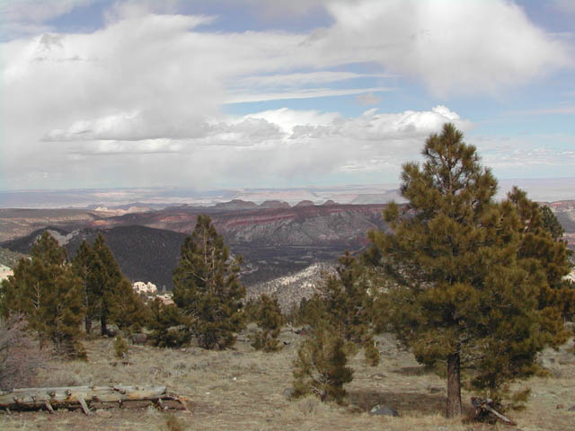 2002-03-25-RoadTripDay14