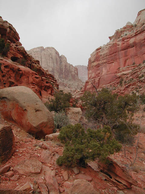 2002-03-25-RoadTripDay14