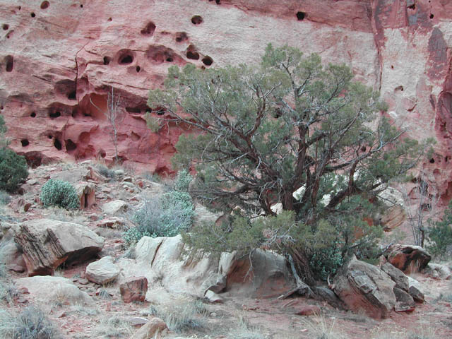 2002-03-25-RoadTripDay14