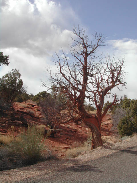 2002-03-25-RoadTripDay14