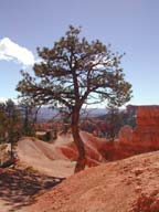 2002-03-25-RoadTripDay14