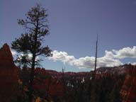 2002-03-25-RoadTripDay14