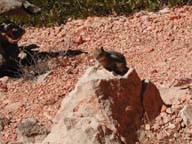 2002-03-25-RoadTripDay14