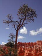 2002-03-25-RoadTripDay14