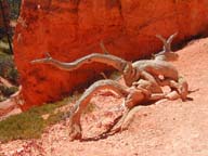 2002-03-25-RoadTripDay14