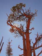 2002-03-25-RoadTripDay14