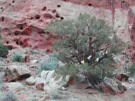 2002-03-25-RoadTripDay14
