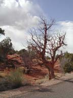 2002-03-25-RoadTripDay14