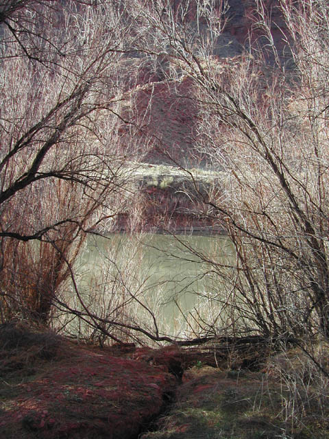 2002-03-26-RoadTripDay15