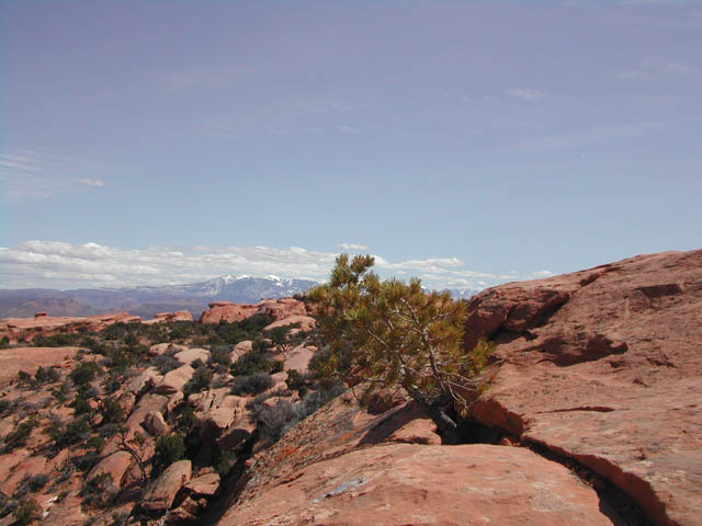 2002-03-26-RoadTripDay15