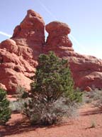 2002-03-26-RoadTripDay15