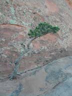 2002-03-26-RoadTripDay15