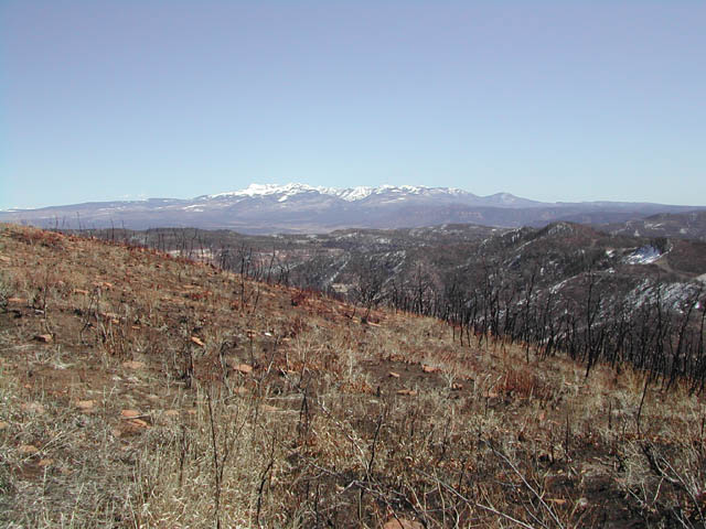 2002-03-27-RoadTripDay16