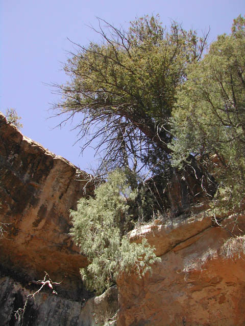 2002-03-27-RoadTripDay16