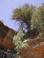 2002-03-27-RoadTripDay16
