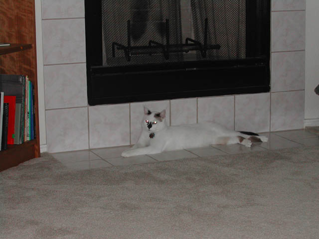 2002-03-30-RoadTripDay19