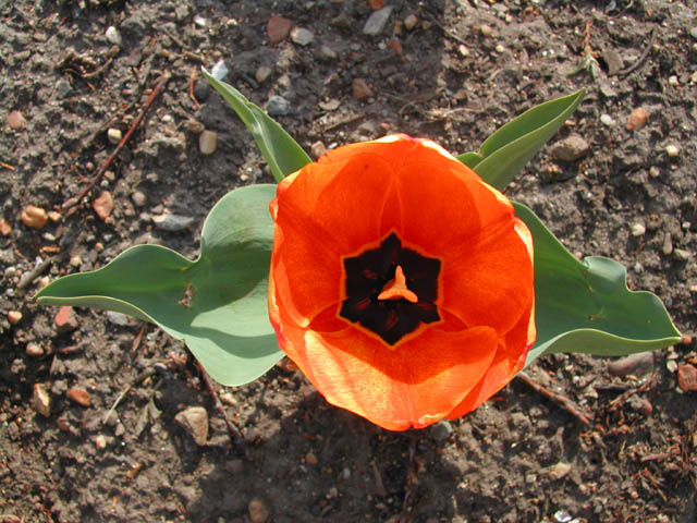 2002-04-08-RoadTripDay28