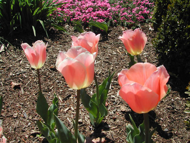 2002-04-08-RoadTripDay28