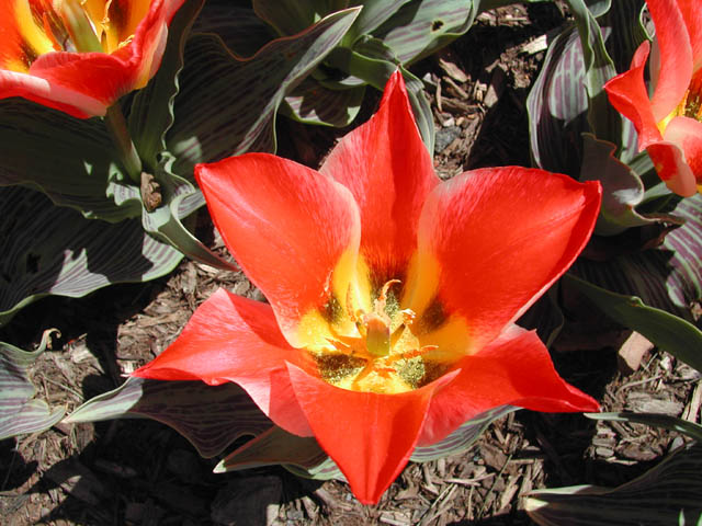 2002-04-08-RoadTripDay28