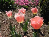 2002-04-08-RoadTripDay28