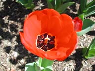 2002-04-08-RoadTripDay28