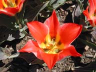 2002-04-08-RoadTripDay28