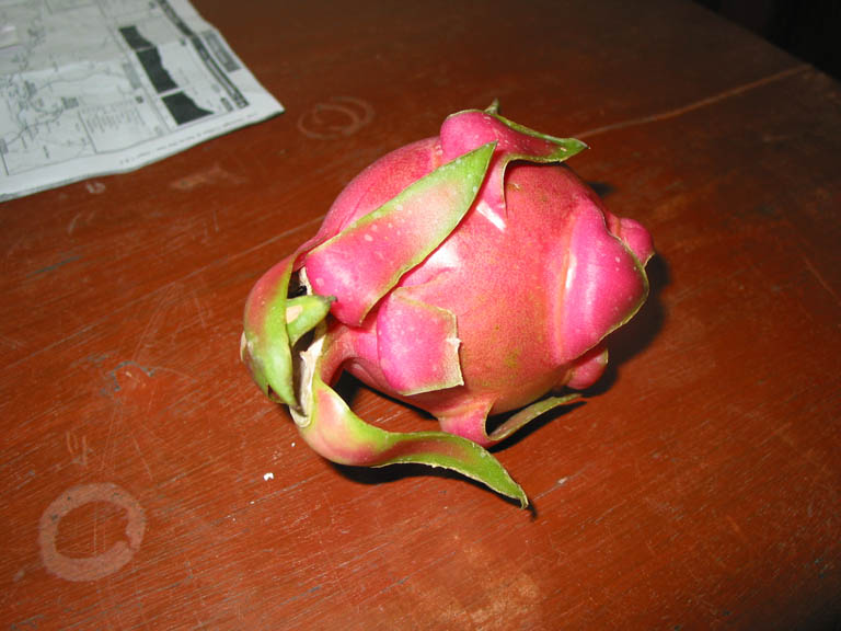 119-1970_IMG