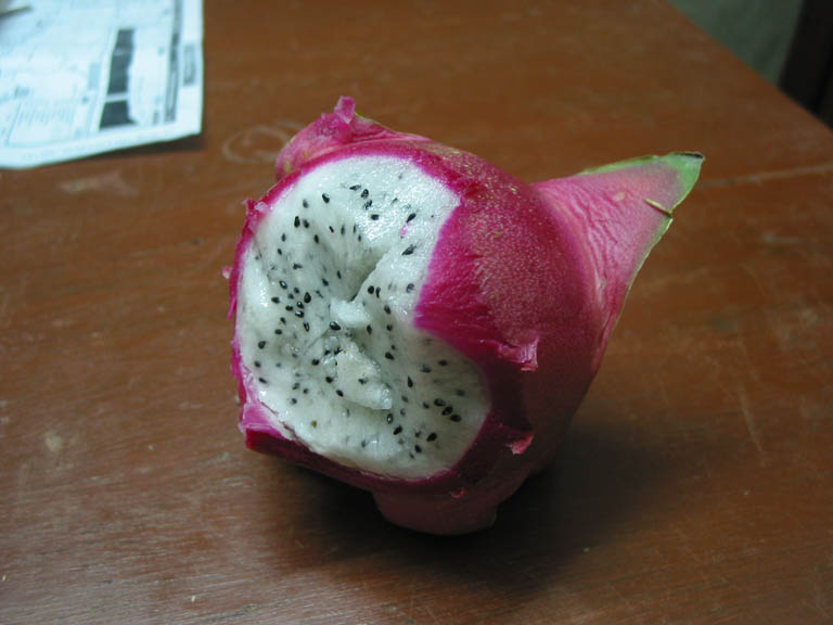 119-1972_IMG