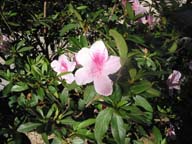 119-1974_IMG