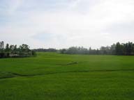 120-2047_IMG